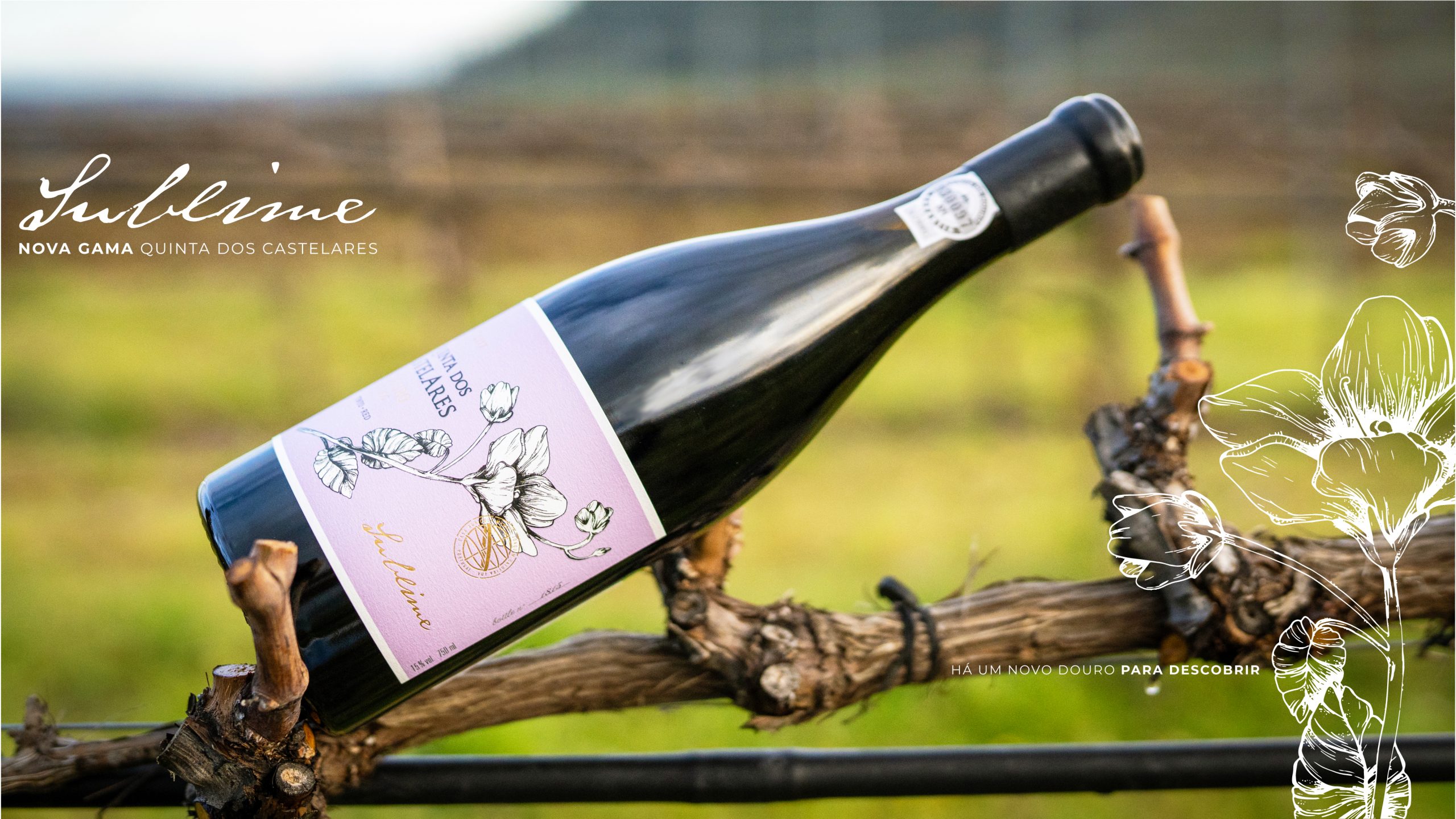 Quinta dos Castelares – Sublime