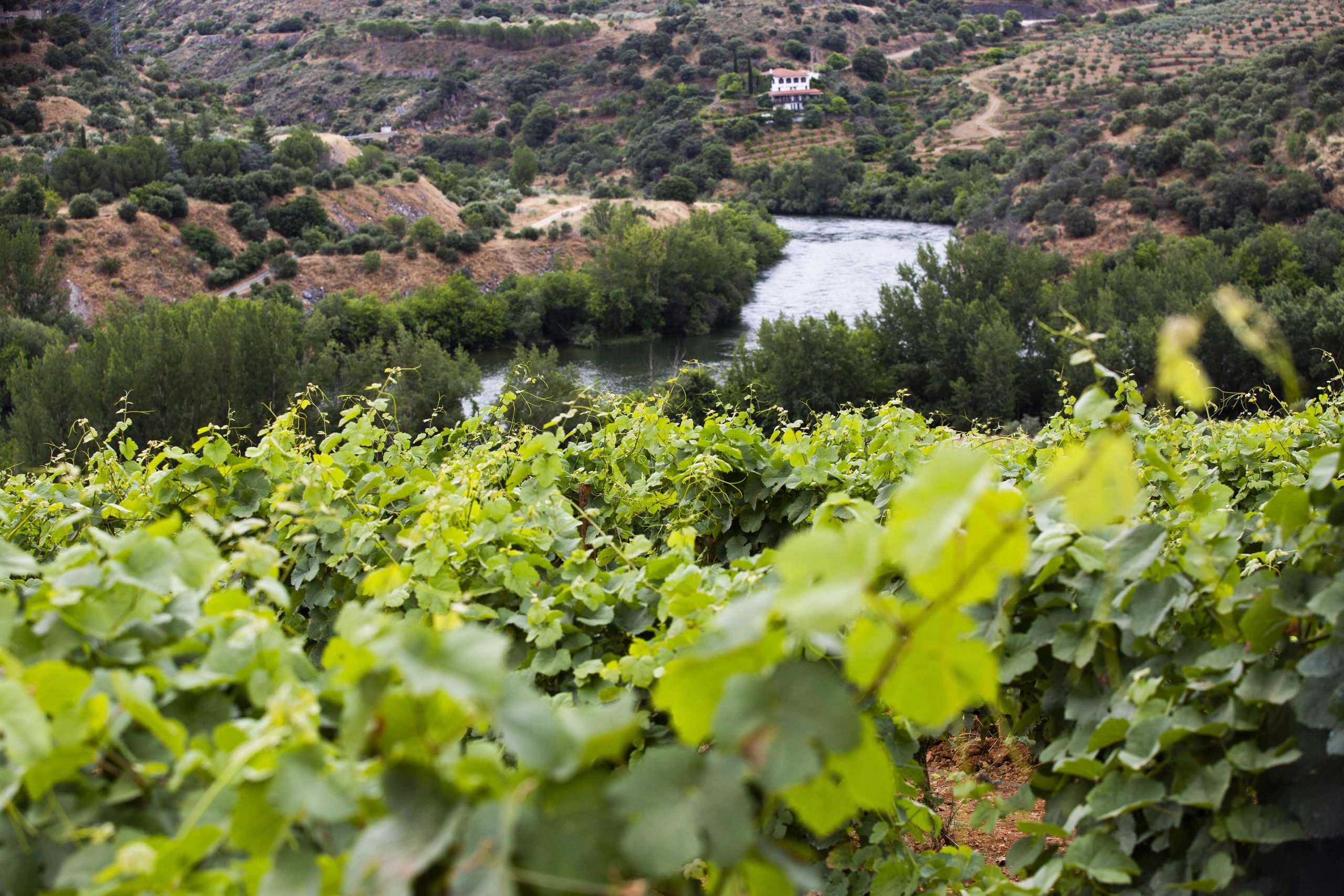 Episodio 7 – Quinta da Fronteira